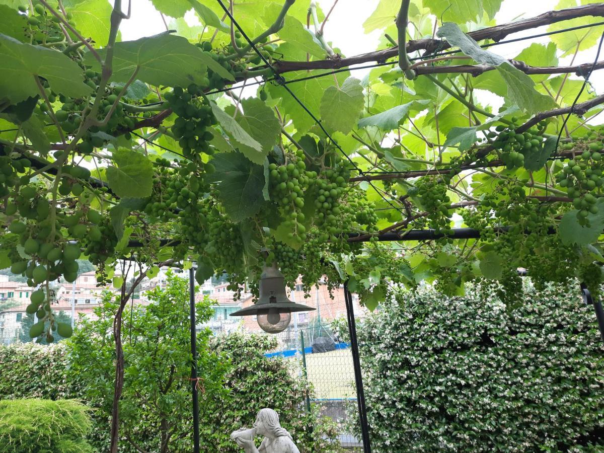 La Villa La Spezia Extérieur photo