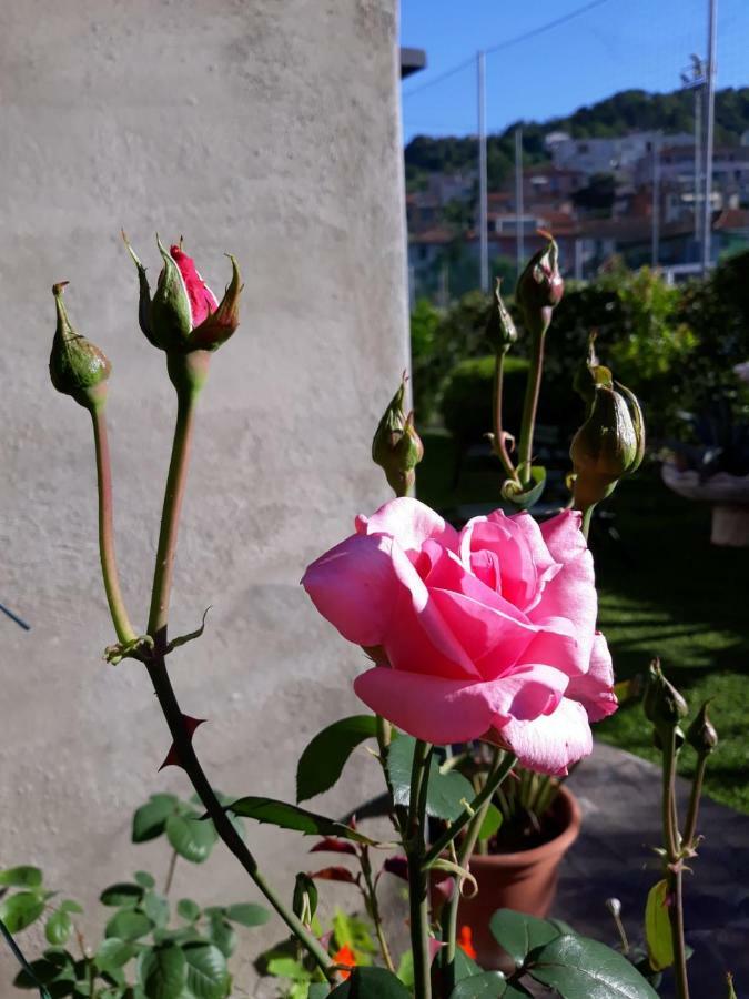 La Villa La Spezia Extérieur photo